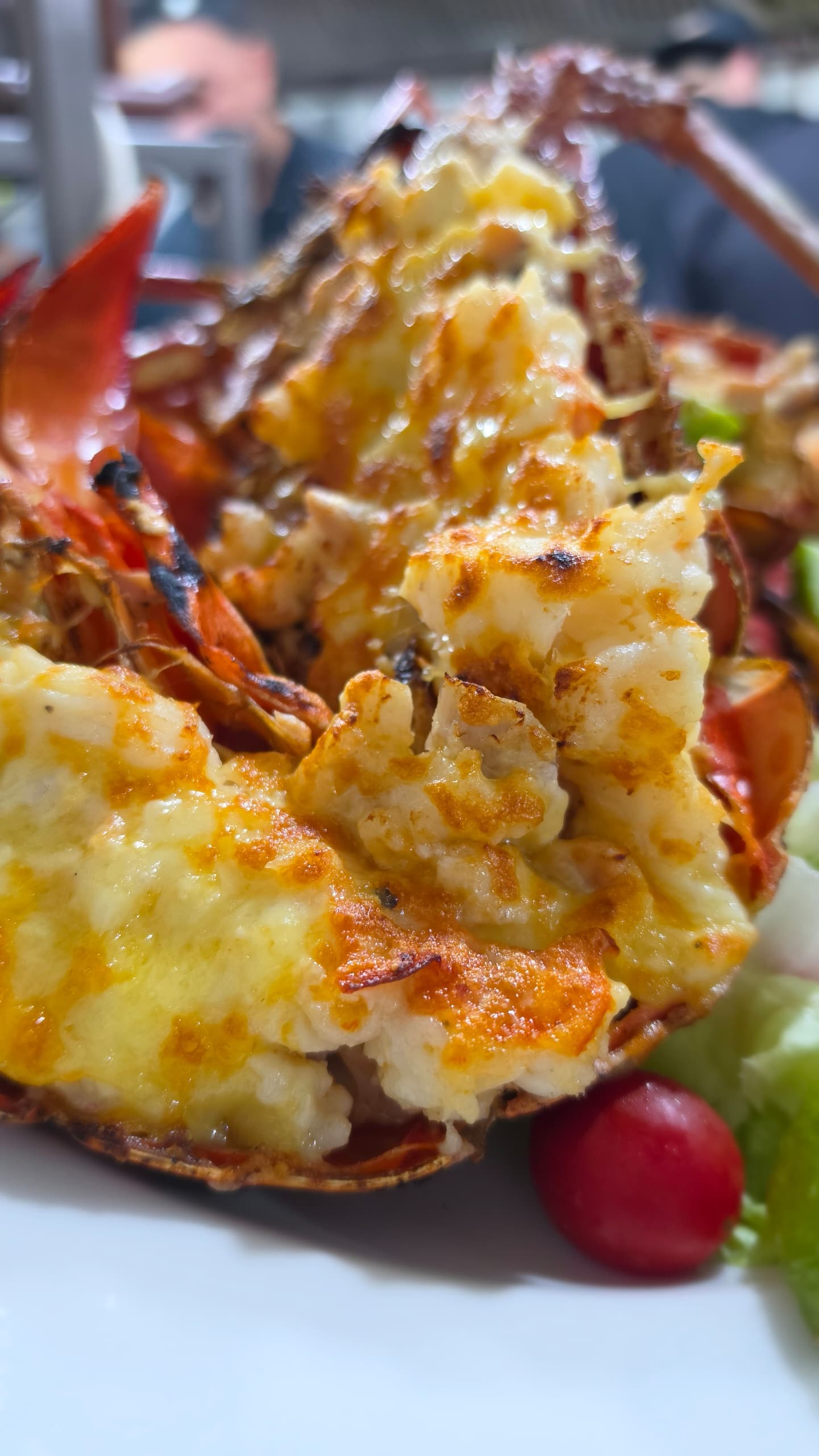 Gratin de fruits de mer